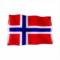75 x 50 mm Embossed polymer sticker with the Norwegian flag
