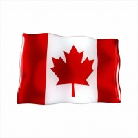 75 x 50 mm Embossed polymer sticker Canadian flag