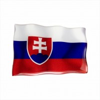 75 x 50 mm Embossed polymer sticker with the Slovak flag