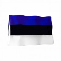 75 x 50 mm Embossed polymer sticker with Estonian flag